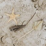 A perfect storm for bone loss in women: Menopause and GLP-1 weight-loss drugs