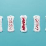 Estrogen levels in both the male and female brain may shape memory's resilience in face of stress