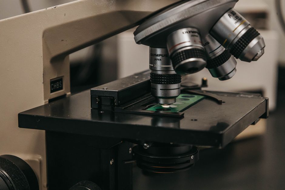 Research Shows This Supplement Can Help Build Lean Muscle And Improve Brain Health