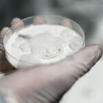 Research Shows This Supplement Can Help Build Lean Muscle And Improve Brain Health