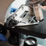 Research Shows This Supplement Can Help Build Lean Muscle And Improve Brain Health