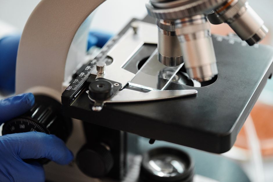 Research Shows This Supplement Can Help Build Lean Muscle And Improve Brain Health