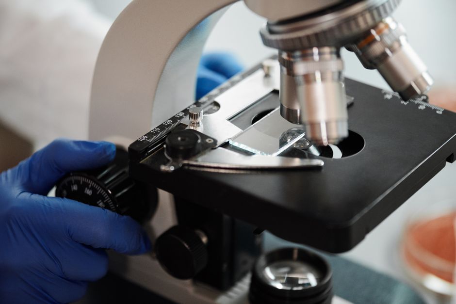 Research Shows This Supplement Can Help Build Lean Muscle And Improve Brain Health