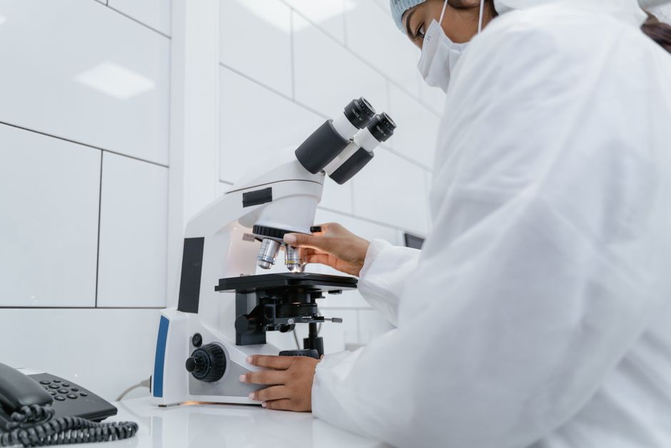 Research Shows This Supplement Can Help Build Lean Muscle And Improve Brain Health
