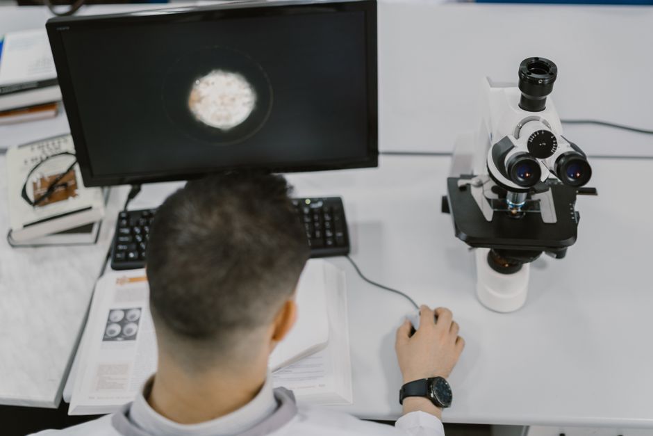 Research Shows This Supplement Can Help Build Lean Muscle And Improve Brain Health