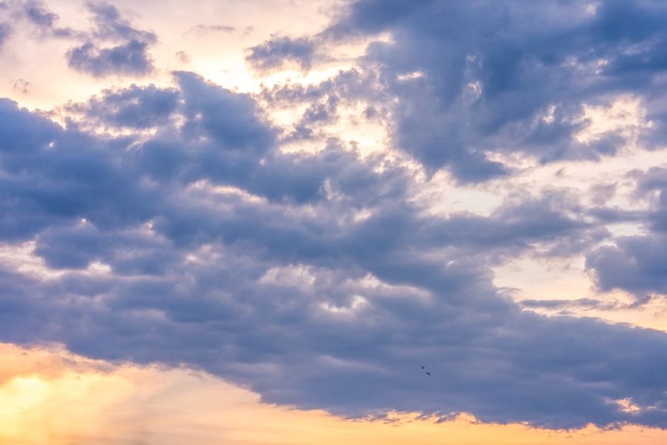 A perfect storm for bone loss in women: Menopause and GLP-1 weight-loss drugs