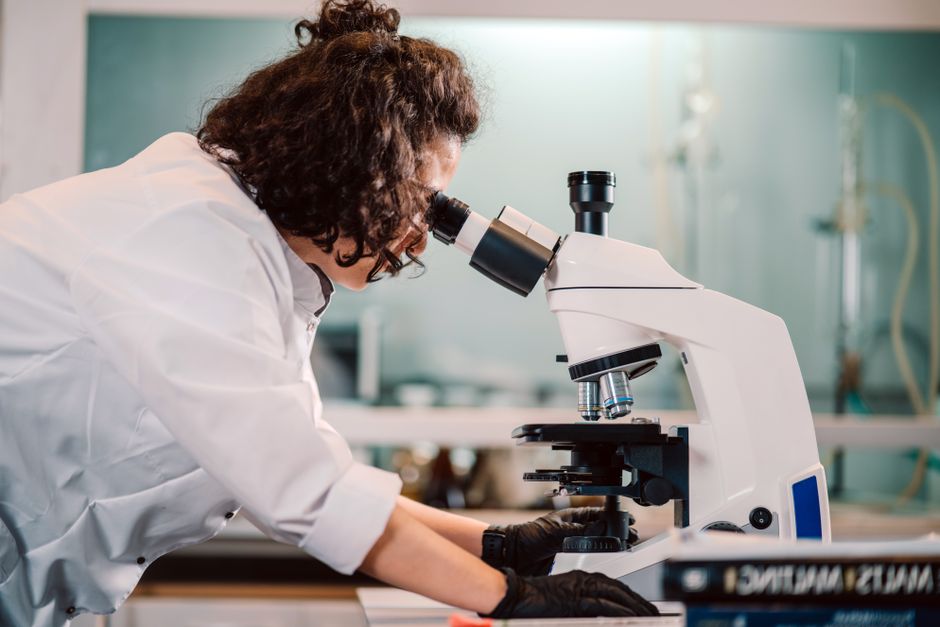 Research Shows This Supplement Can Help Build Lean Muscle And Improve Brain Health