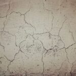 A perfect storm for bone loss in women: Menopause and GLP-1 weight-loss drugs