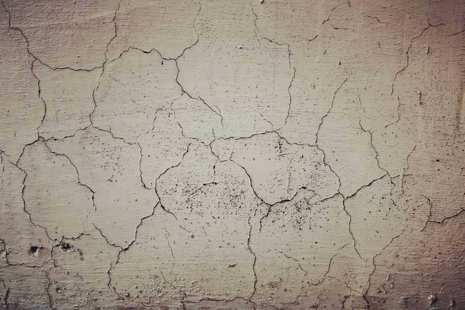 A perfect storm for bone loss in women: Menopause and GLP-1 weight-loss drugs