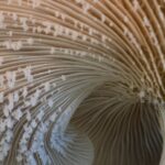 A perfect storm for bone loss in women: Menopause and GLP-1 weight-loss drugs