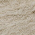 A perfect storm for bone loss in women: Menopause and GLP-1 weight-loss drugs