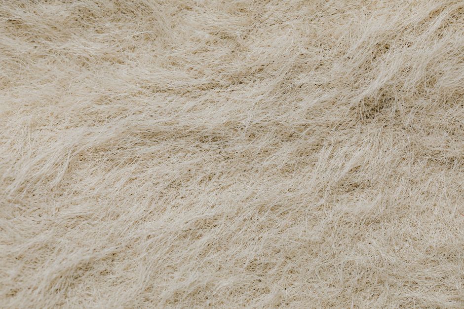 A perfect storm for bone loss in women: Menopause and GLP-1 weight-loss drugs